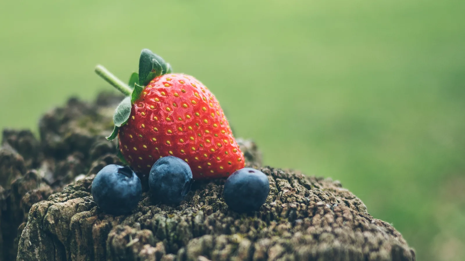 One red strawberry with its seeds on the outside, next to three dusty-blue blueberries